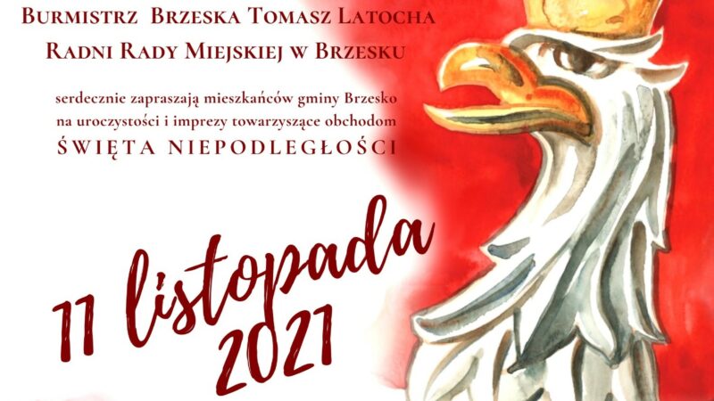 Obchody Święta Niepodległości