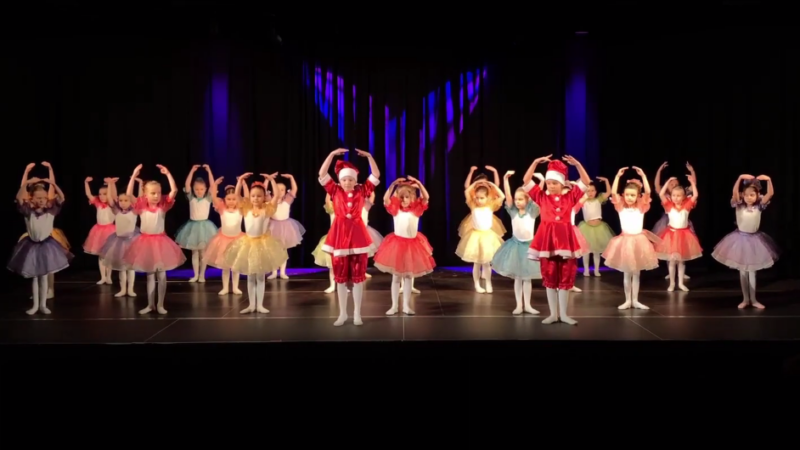 Zimowy koncert baletowy (wideo)