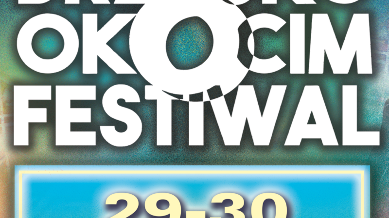 REGULAMIN BRZESKO OKOCIM FESTIWAL 2024