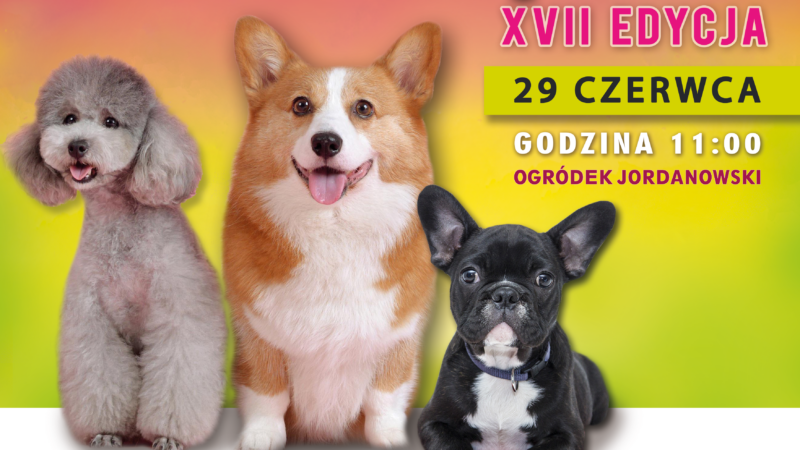 Konkurs na najsympatyczniejszego psa – 29 czerwca 2025